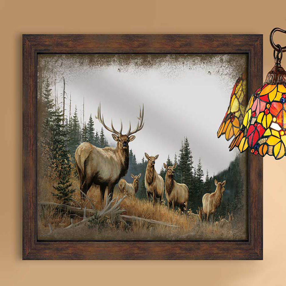 Rustic Mirrors
