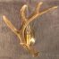 Whitetail Deer Left Antler Wall Sconce W1S LEFT