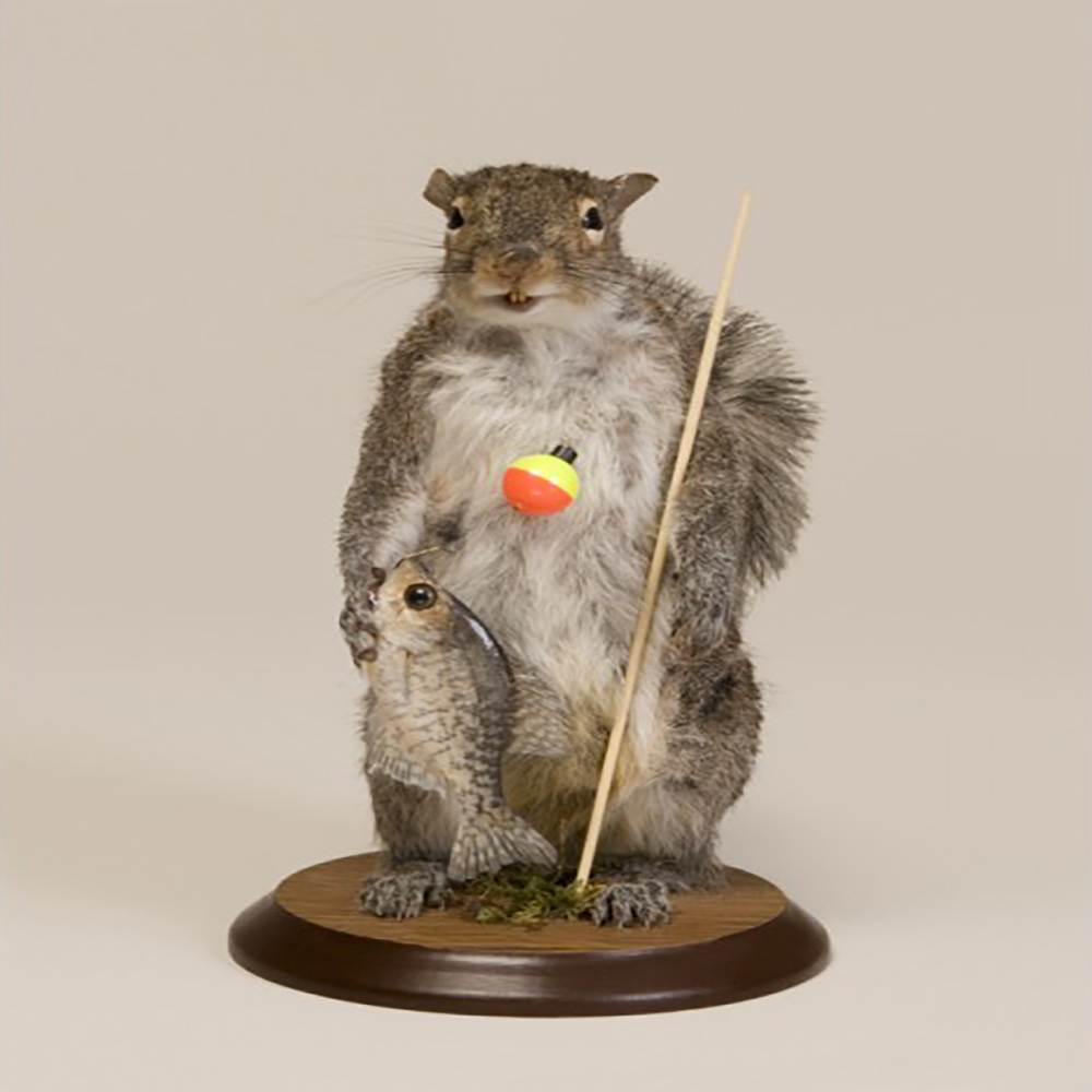 Squirrel (Fishing)