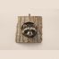 Peeping Raccoon