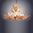 8 Light Oval Mule Deer Antler Chandelier AWC-5
